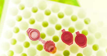 Header-AR-Titelbild_2024_2000x600px