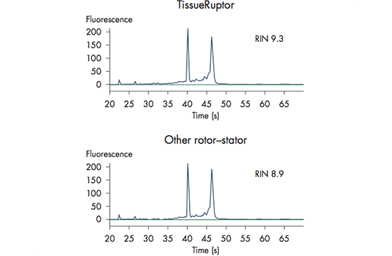 TissueRuptor-II-3-TR-2-ID_0192